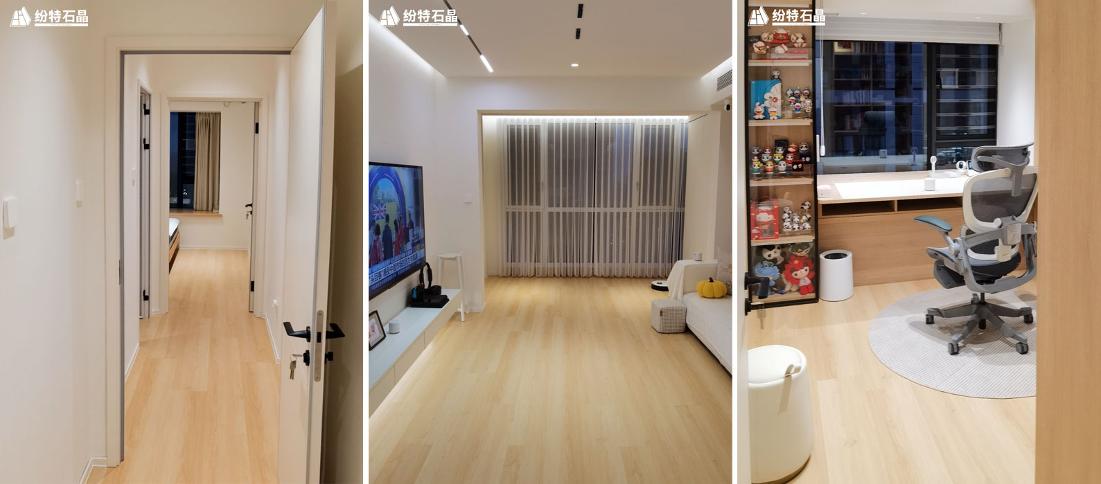 紛特HOME | ?？诩已b