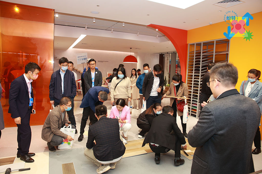 紛特石晶，開啟繽紛之旅