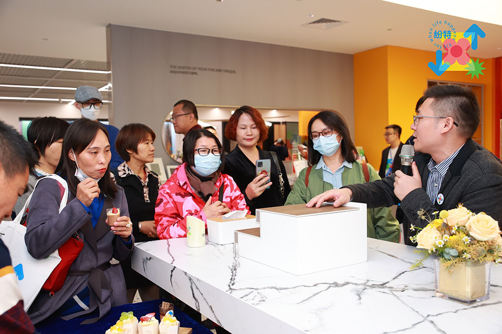 紛特石晶，開啟繽紛之旅